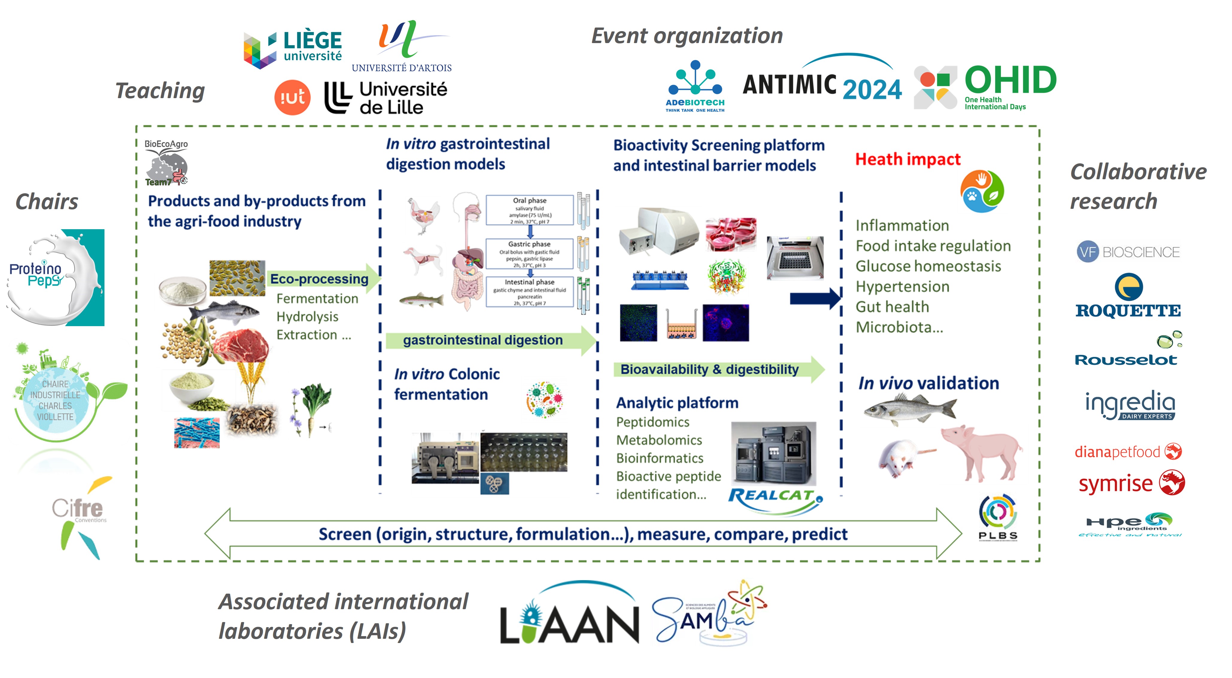 Diagram of the team's research activities and collaborative environment