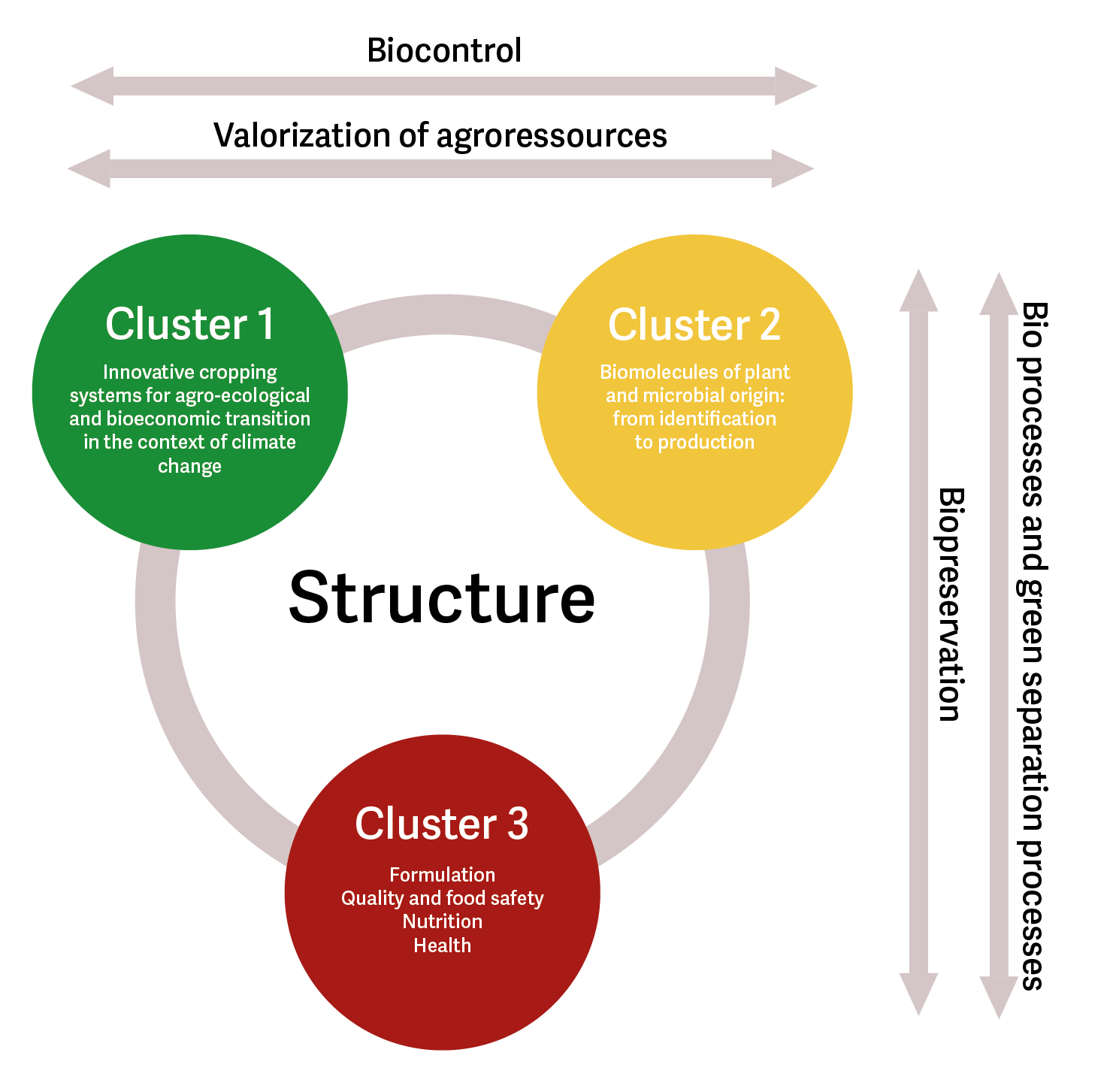 cluster and intersections